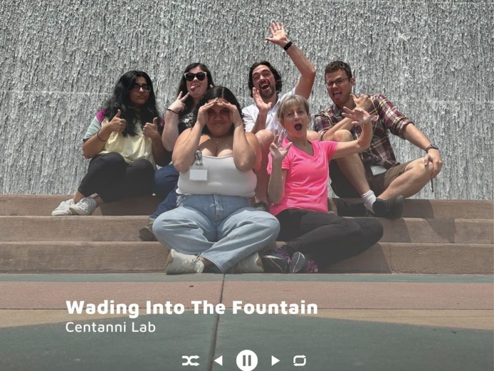 Wading Into The Fountain