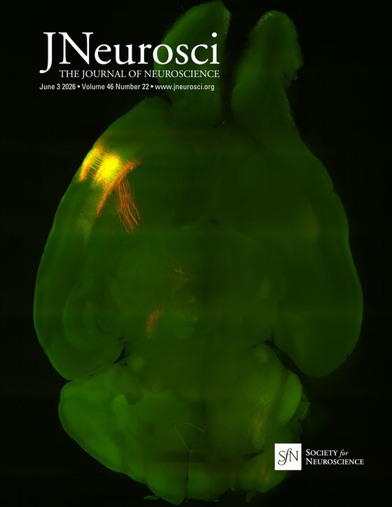 Journal of Neuroscience cover, June 3 2026, Volume 46 Number 22